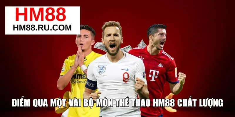 Điểm qua một vài bộ môn thể thao HM88 chất lượng